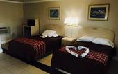 Туры в отель Apollo Inn Motel