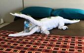 Туры в отель Apollo Inn Motel