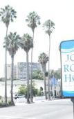 Туры в отель Jolly Roger Hotel