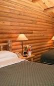 Туры в отель North Forty Resort