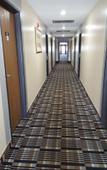 Туры в отель Horizon Inn Motel