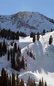 Туры в отель The Snowpine Lodge