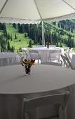 Туры в отель The Snowpine Lodge