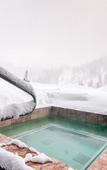 Туры в отель The Snowpine Lodge
