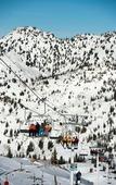 Туры в отель The Snowpine Lodge