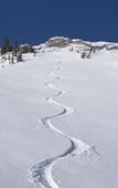 Туры в отель The Snowpine Lodge