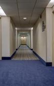 Туры в отель SureStay Plus Hotel Chicago Lombard by Best Western