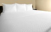 Туры в отель Cambria Hotel Chicago Loop - Theatre District