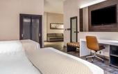 Туры в отель Cambria Hotel Chicago Loop - Theatre District