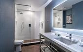 Туры в отель Cambria Hotel Chicago Loop - Theatre District