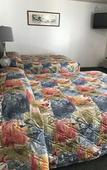 Туры в отель Kings Lodge Motel