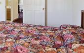Туры в отель Days Inn by Wyndham Lolo / Missoula Area