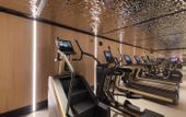 Туры в отель Park Hyatt Istanbul - Macka Palas