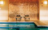 Туры в отель Park Hyatt Chicago