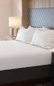 Туры в отель Holiday Inn Tallahassee E Capitol - Univ by IHG