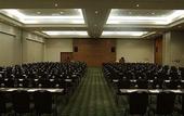Туры в отель Park Inn Heathrow