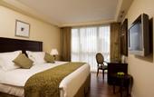 Туры в отель The Orchid Tel Aviv