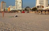 Туры в отель The Orchid Tel Aviv
