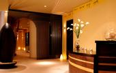 Туры в отель Park Plaza Westminster Bridge London