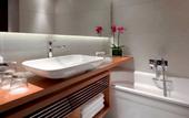Туры в отель Park Plaza Westminster Bridge London