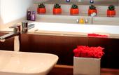 Туры в отель Park Plaza Westminster Bridge London