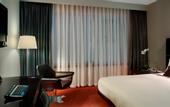 Туры в отель Park Plaza Westminster Bridge London