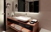 Туры в отель Park Plaza Westminster Bridge London