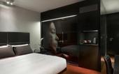 Туры в отель Park Plaza Westminster Bridge London