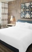 Туры в отель The Westin Chicago North Shore