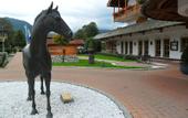 Туры в отель Parkhotel Egerner Hof Rottach