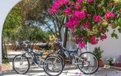Туры в отель Parosland Hotel & Resort