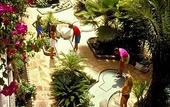 Туры в отель Parque Tropical