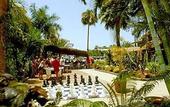 Туры в отель Parque Tropical