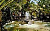 Туры в отель Parque Tropical