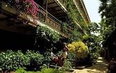 Туры в отель Parque Tropical