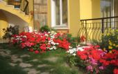 Туры в отель Partmezzo Apart