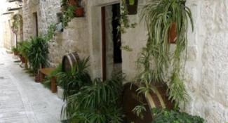 Heritage Hotel Pasike (Heritage Hotel & Restaurant Pasike) 3*