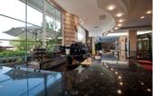 Туры в отель Pato Amarillo Hotel