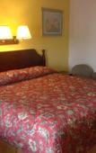 Туры в отель Stardust Motel