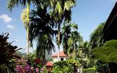 Туры в отель Patong Cottage Resort