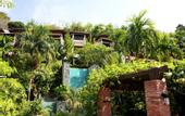 Туры в отель Patong Cottage Resort