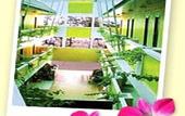 Туры в отель Patong Inn