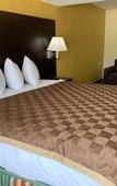 Туры в отель Days Inn & Suites by Wyndham Tampa/Raymond James Stadium