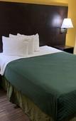 Туры в отель Days Inn & Suites by Wyndham Tampa/Raymond James Stadium