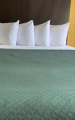 Туры в отель Days Inn & Suites by Wyndham Tampa/Raymond James Stadium