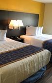 Туры в отель Days Inn & Suites by Wyndham Tampa/Raymond James Stadium