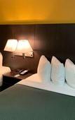 Туры в отель Days Inn & Suites by Wyndham Tampa/Raymond James Stadium