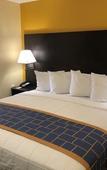 Туры в отель Days Inn & Suites by Wyndham Tampa/Raymond James Stadium