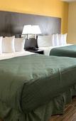 Туры в отель Days Inn & Suites by Wyndham Tampa/Raymond James Stadium