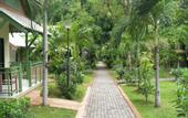 Туры в отель Pattaya Garden